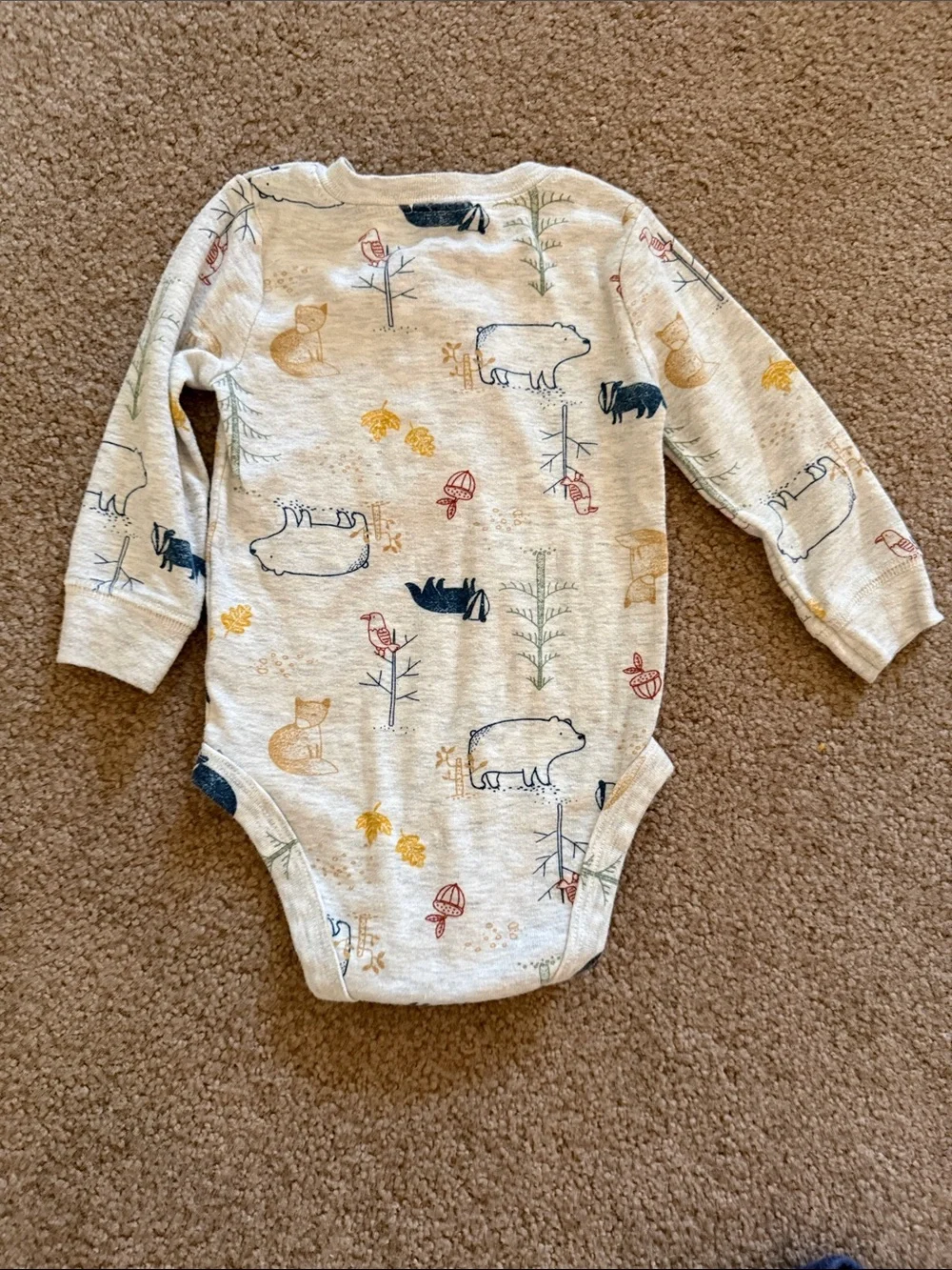 Carter's Set - Beige Forest Print Top with Mustard Pants Kids